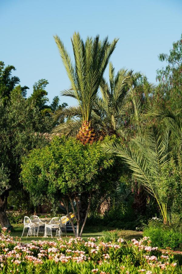 Willa Pavillon Terra Ababila En Exclusivite Marrakesz Zewnętrze zdjęcie